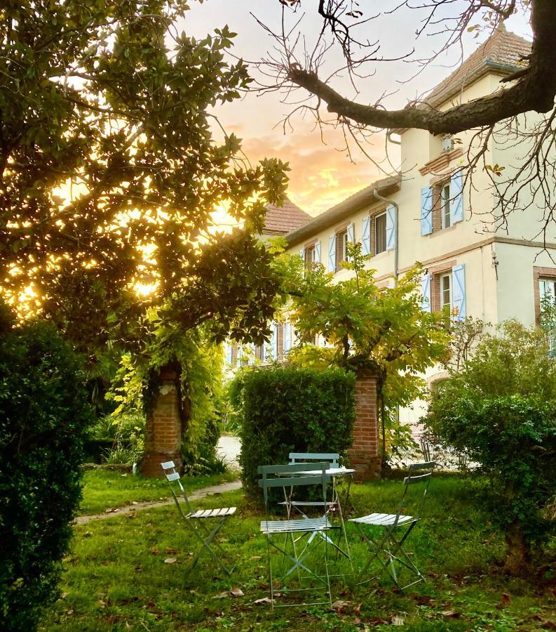 Domaine De Menerque - Petit Chateau Avec Piscine Lisle-sur-Tarn Ngoại thất bức ảnh