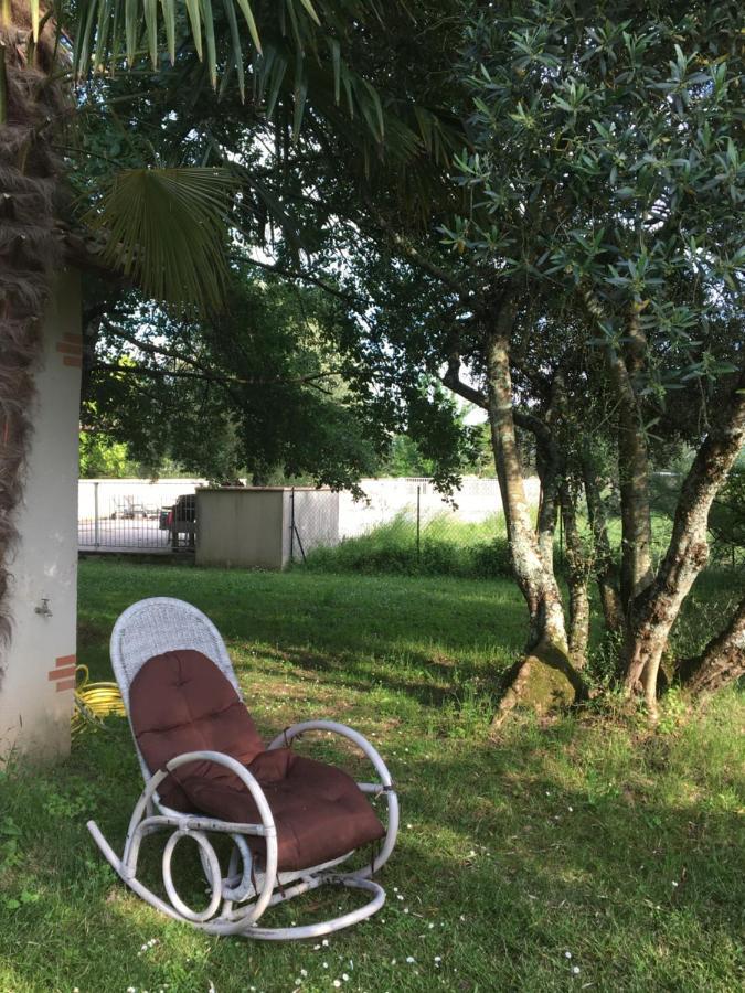 Domaine De Menerque - Petit Chateau Avec Piscine Lisle-sur-Tarn Ngoại thất bức ảnh