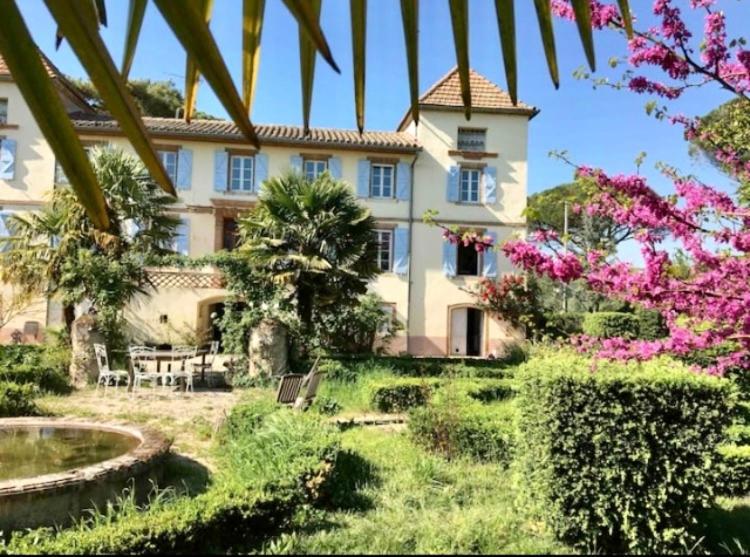 Domaine De Menerque - Petit Chateau Avec Piscine Lisle-sur-Tarn Ngoại thất bức ảnh