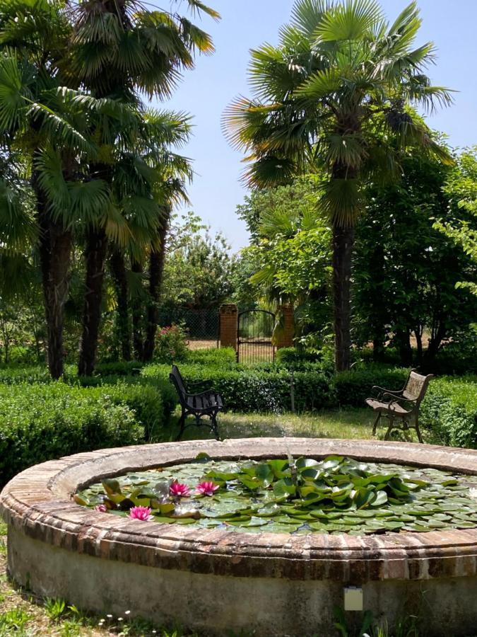 Domaine De Menerque - Petit Chateau Avec Piscine Lisle-sur-Tarn Ngoại thất bức ảnh